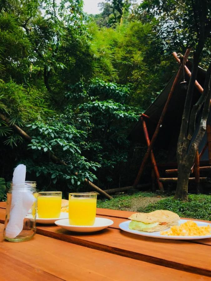 Bambu Glamping Ecolodge Medellín Kültér fotó