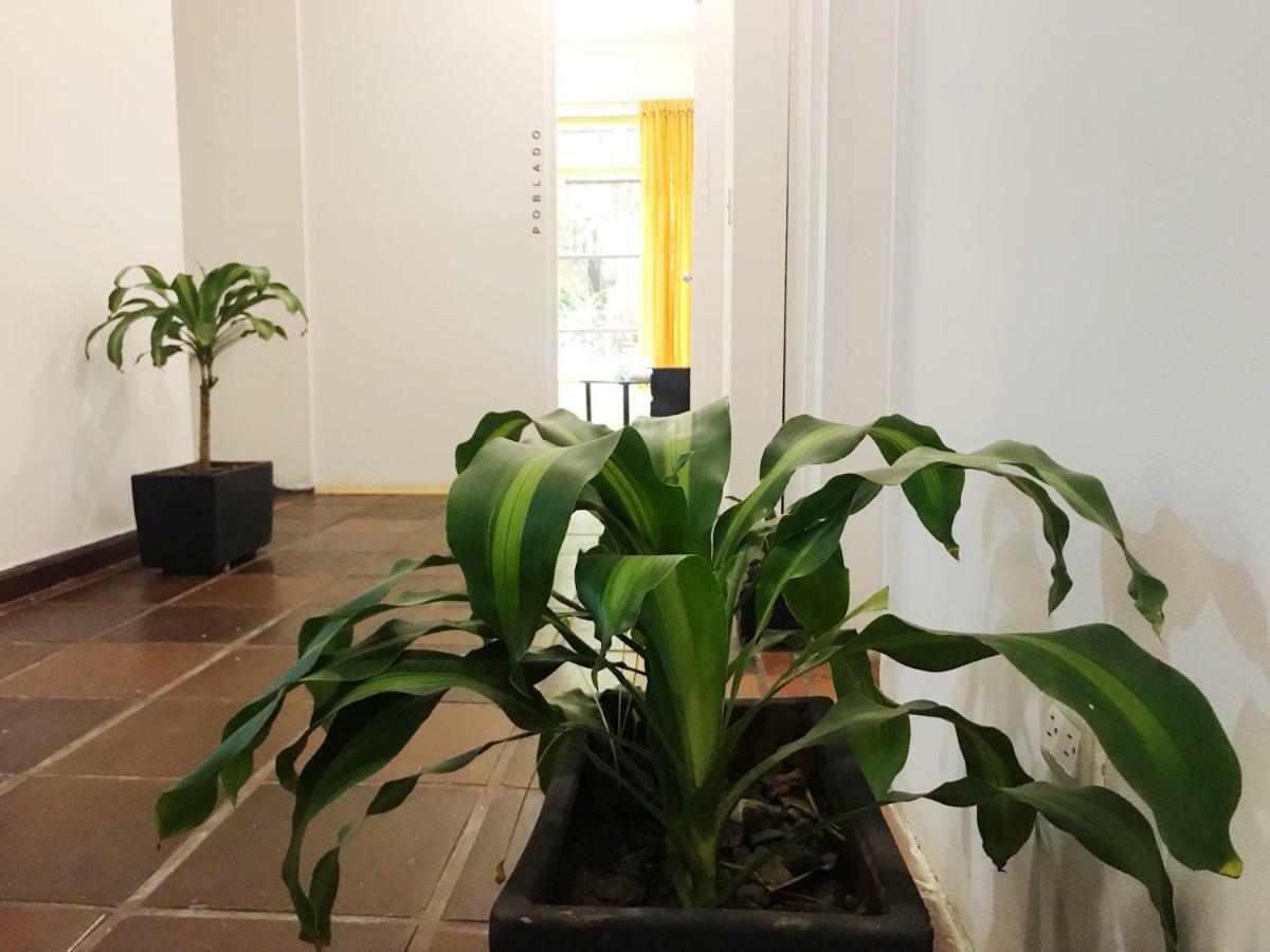 Bambu Glamping Ecolodge Medellín Kültér fotó