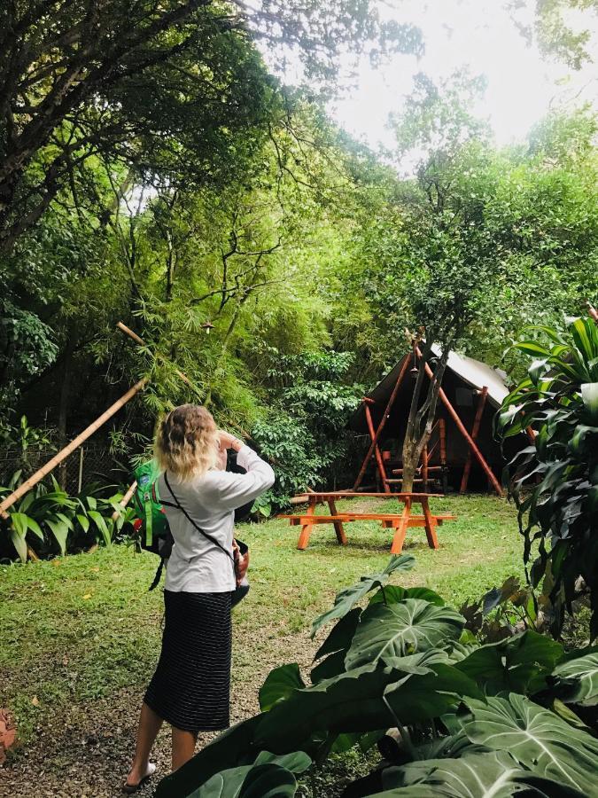 Bambu Glamping Ecolodge Medellín Kültér fotó