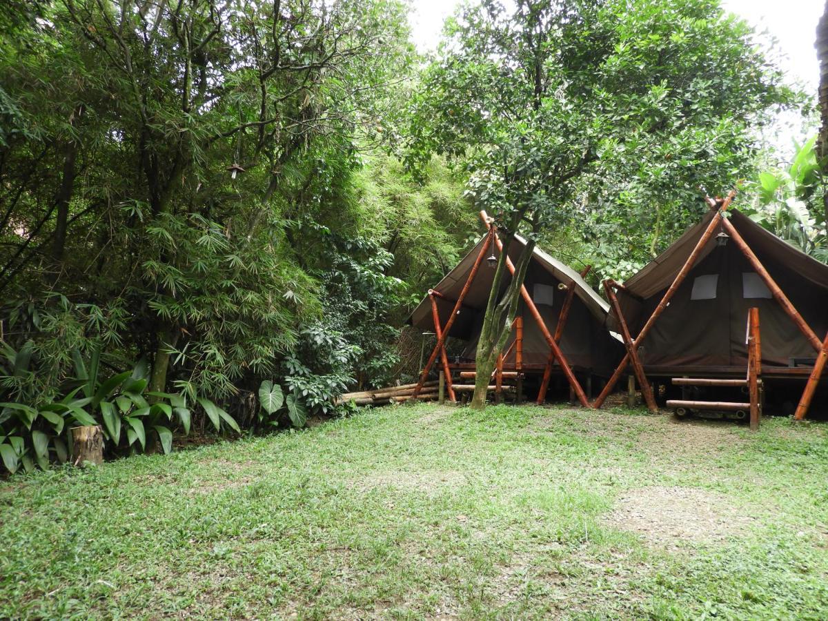 Bambu Glamping Ecolodge Medellín Kültér fotó